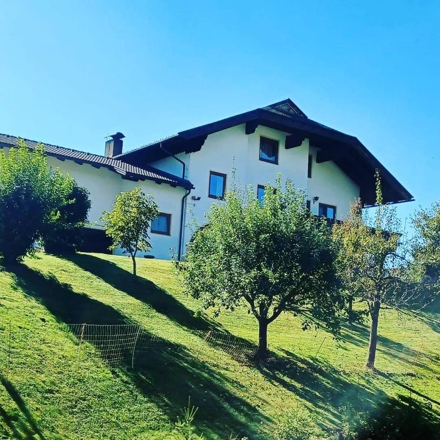Ferienwohnung Schaller Feistritz an der Drau Экстерьер фото